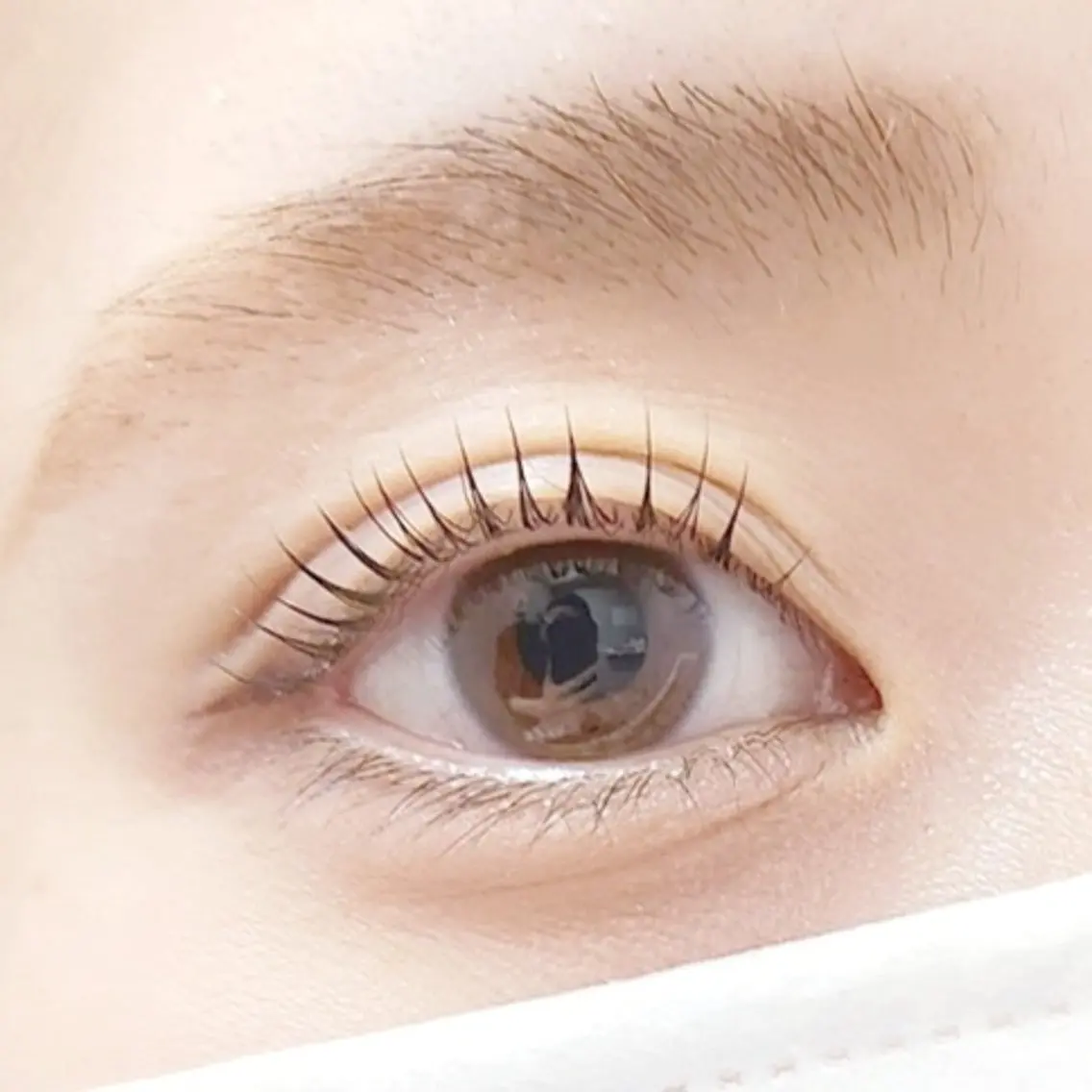マツエク・マツパ マツパ eyelist 🌙ゆうのマツエク・マツパデザイン