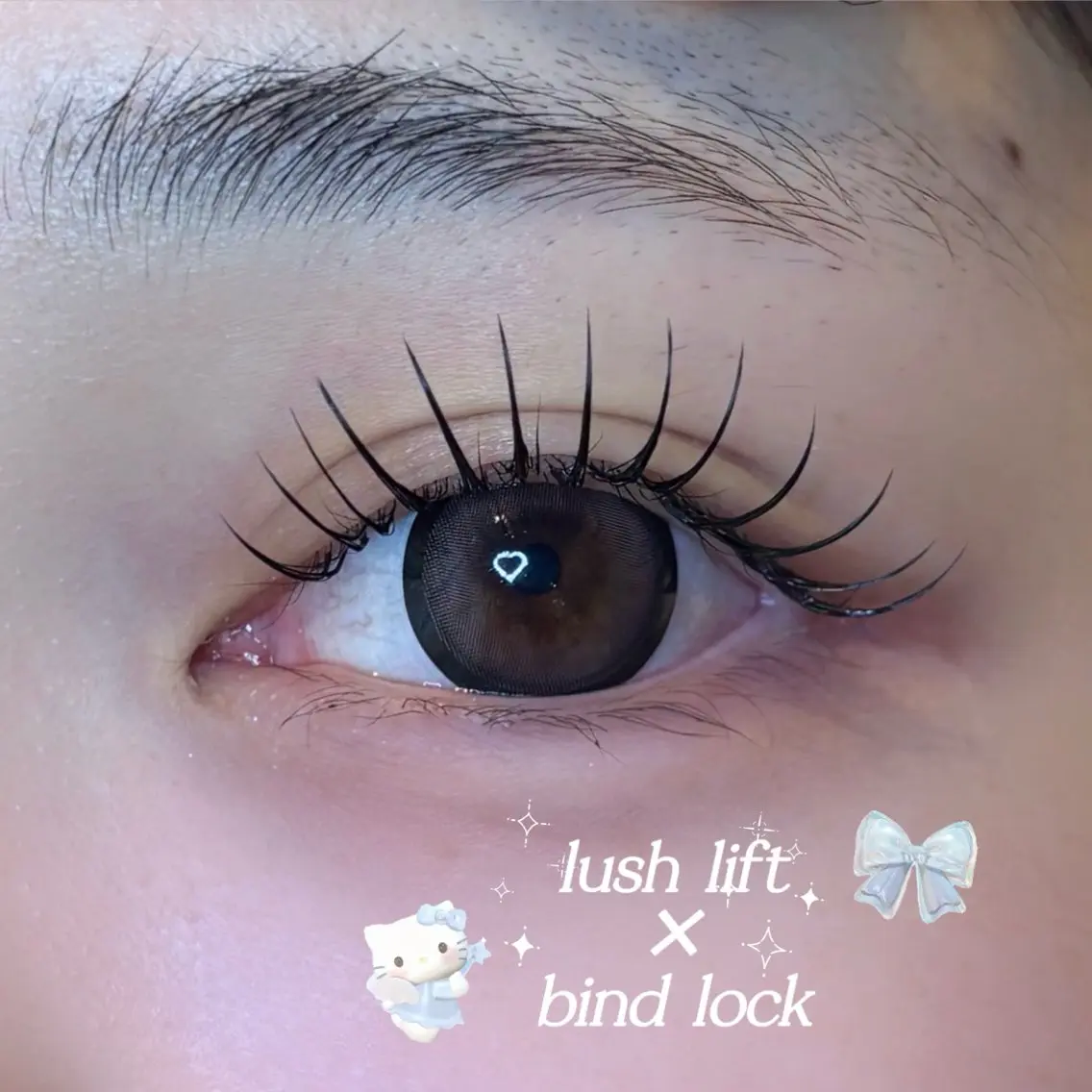 𝘭𝘢𝘴𝘩 𝘭𝘪𝘧𝘵 × 𝘣𝘪𝘯𝘥 𝘭𝘰𝘤𝘬 𝟨𝟢束🎀の写真