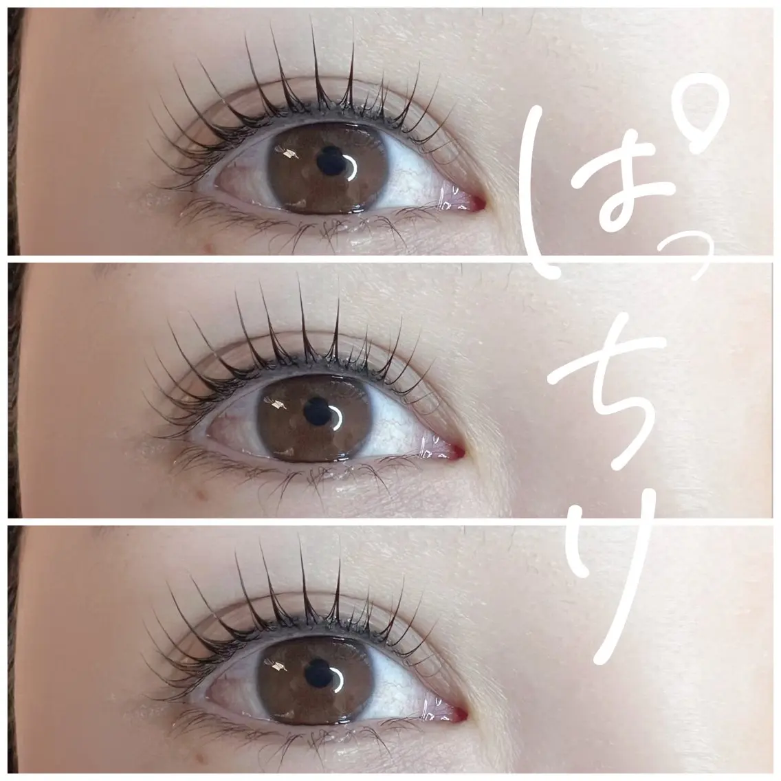 マツエク・マツパ パリジェンヌラッシュリフト eyelash salonELのマツエク・マツパデザイン