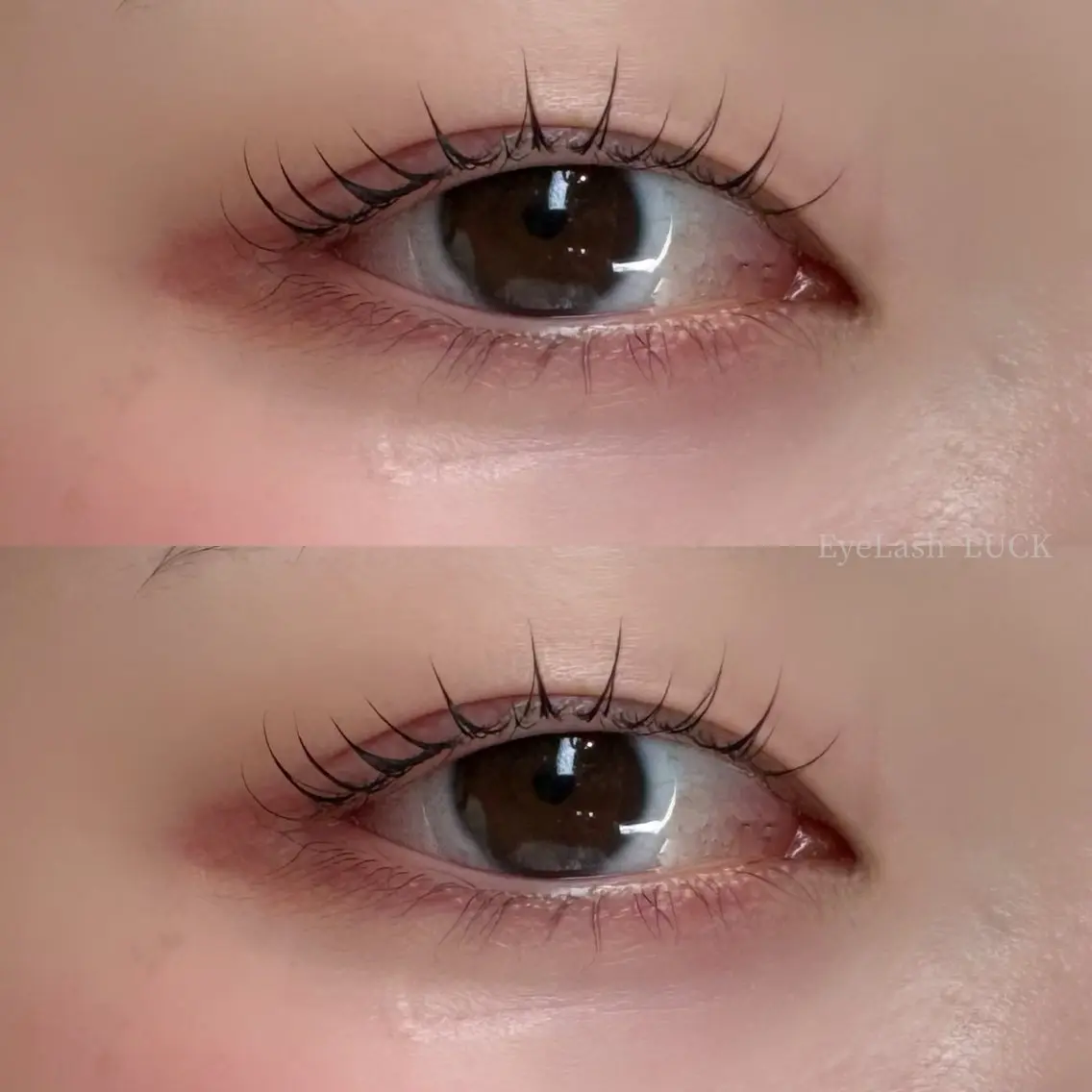 マツエク・マツパ マツパ Eyelash LUCK本厚木のマツエク・マツパデザイン