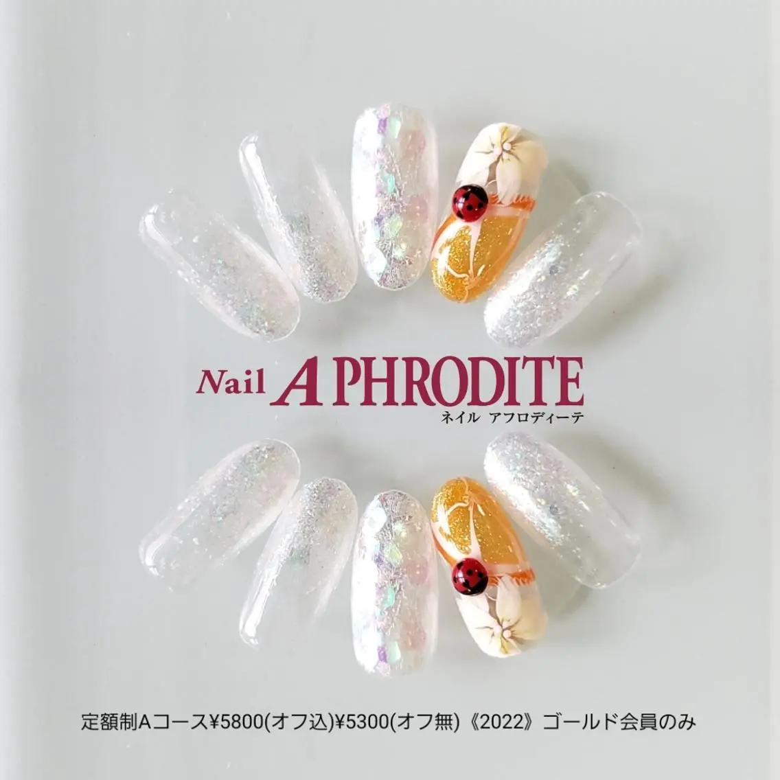 ネイル アートネイル ジェルネイル 持ち込み ソフトジェル ハンドネイル Nail Aphroditeのネイルデザイン