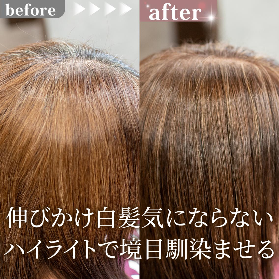 ロング カラー ハイライトカラー ハイライト カット ヘアカラー トリートメント 白髪ぼかしハイライト 【亀有】山本のヘアスタイル