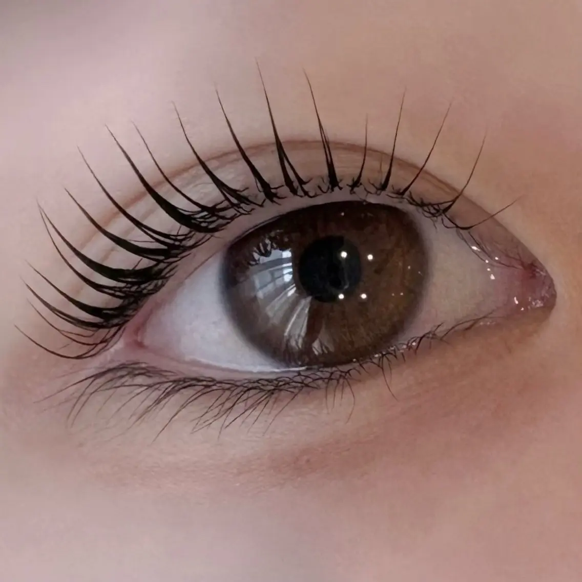 マツエク・マツパ Daisy Lash 今吉🍒🖤のマツエク・マツパデザイン