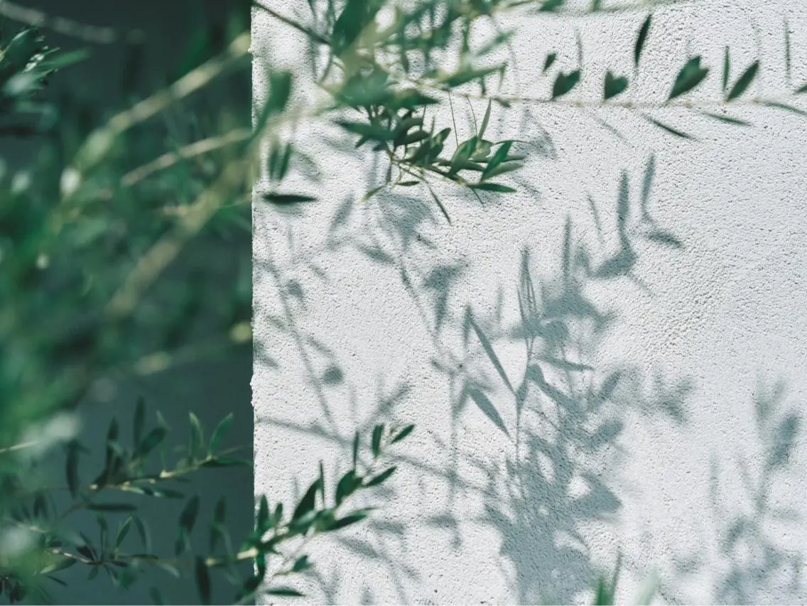 【人気リラクゼーションメニュー🌿】aujuaトリートメント 、クレンジングオイルヘッドスパ30分、シャンプーブローの写真
