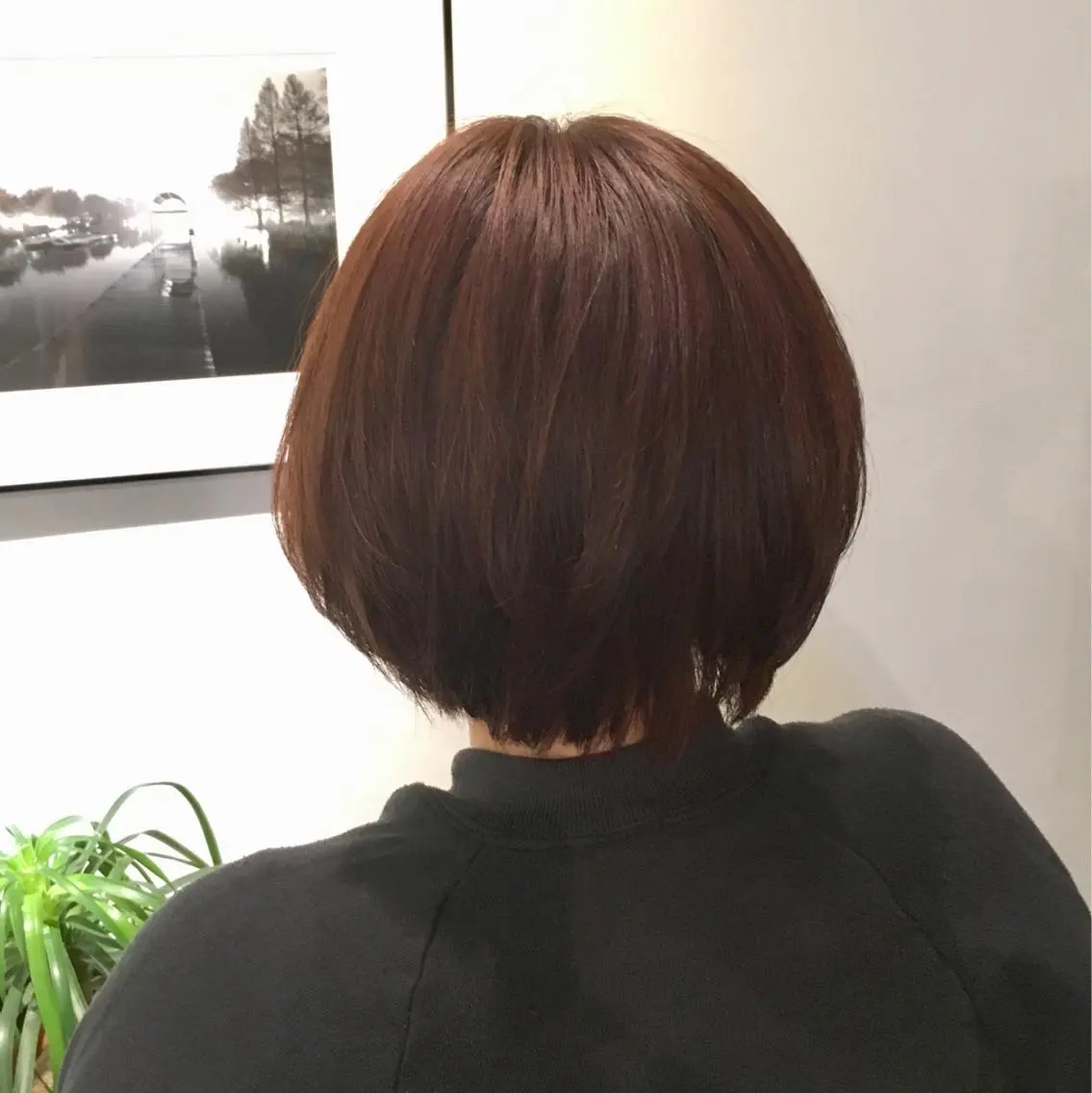 ショート カラー ピンクカラー カット ヘアカラー トリートメント 𓍲꙳yamada haruna⋆ 𓍱のヘアスタイル