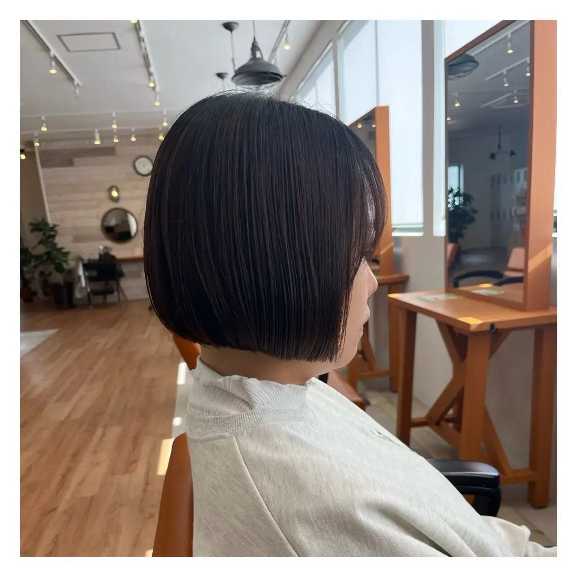 シャンプーカットの写真