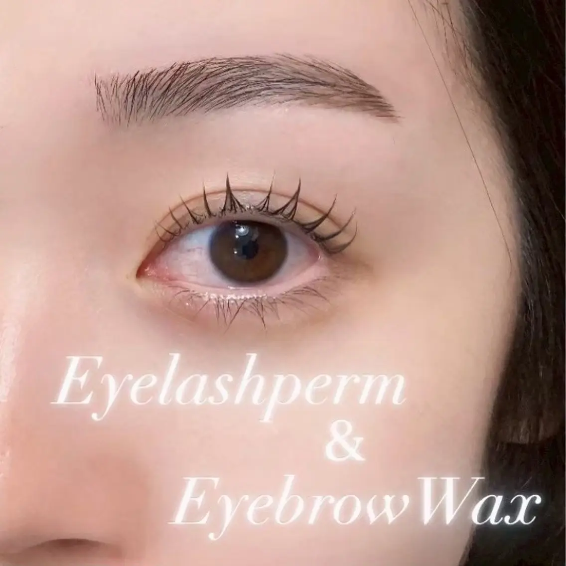 【ミニモ学割】【垢抜け】まつ毛パーマ✖眉毛WAXの写真