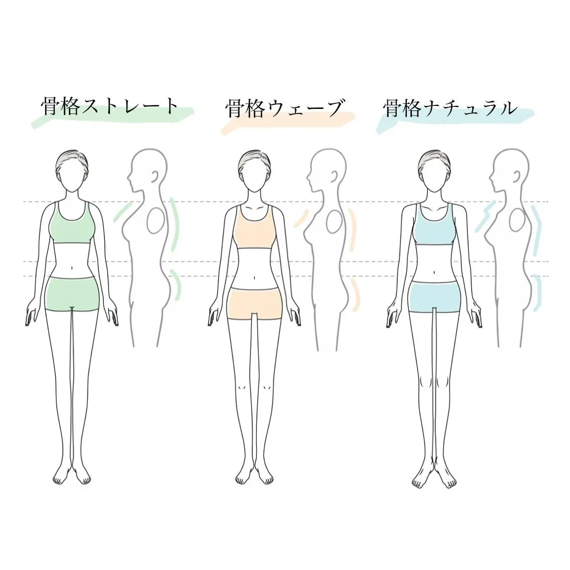 骨格診断士取得⭐︎【骨格診断】資料付きの写真