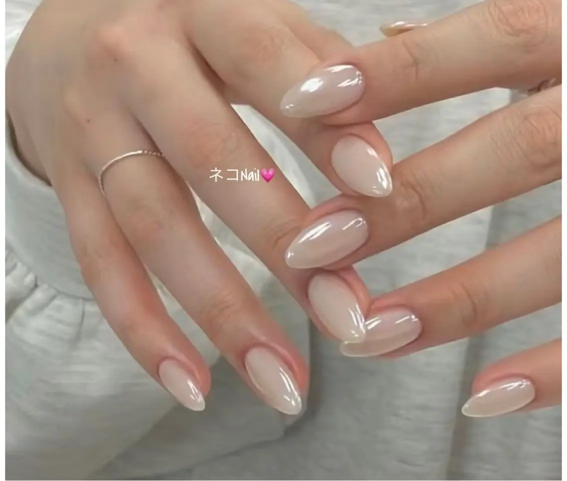 ネイル オーロラネイル フラッシュネイル キラキラネイル 韓国ネイル マグネットネイル ネコ Nailのネイルデザイン