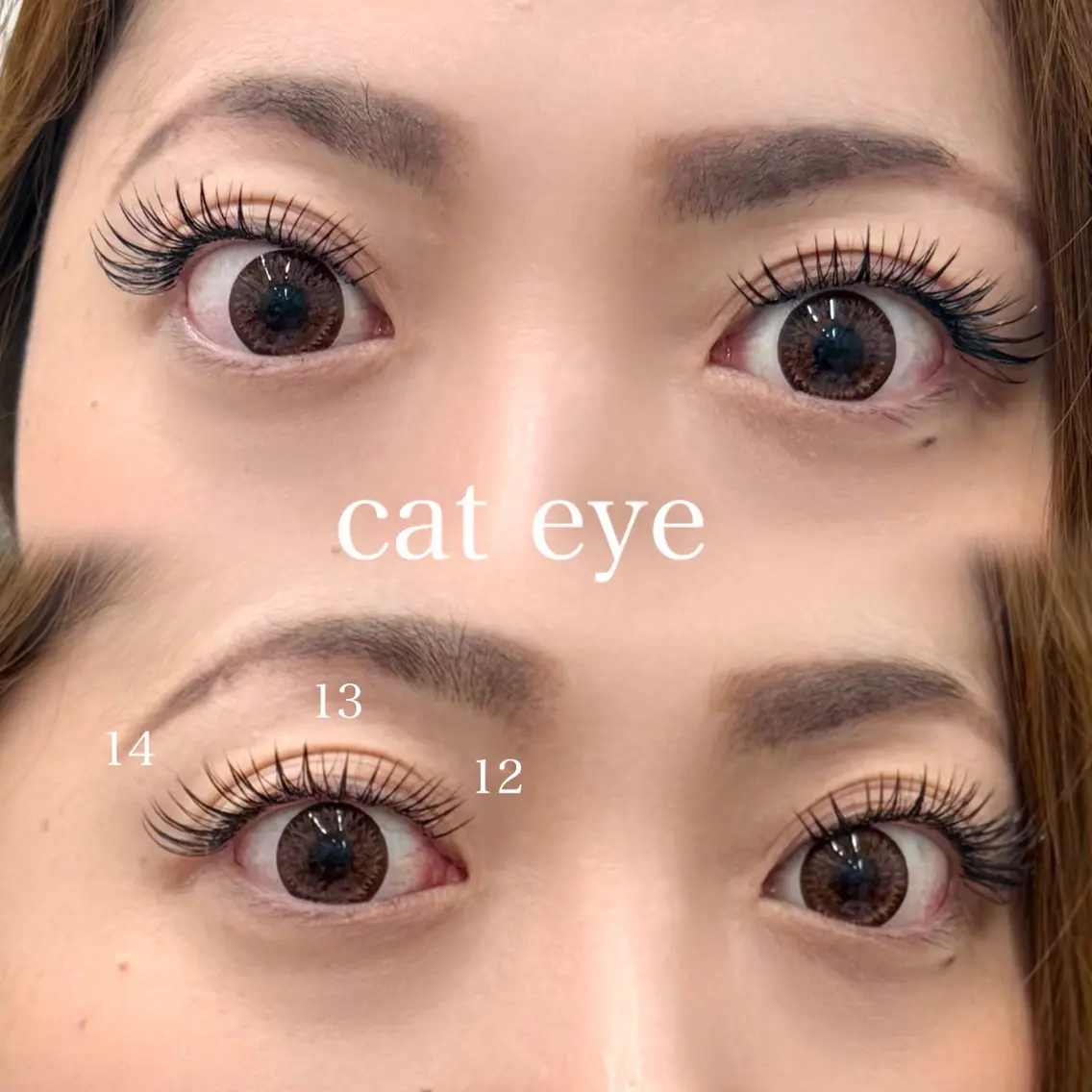 🌈海外ガールトレンドCat eye🌈（LED/アイシャンプー/アイパック付）海外ガールトレンドマツエクの写真
