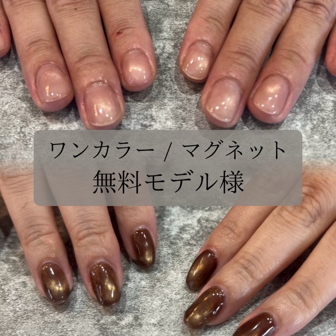 【🍂10/22(木)~28(水)1週間限定🍂】ワンカラー/マグネット（オフ込み）無料モデル様🪄🤍の写真