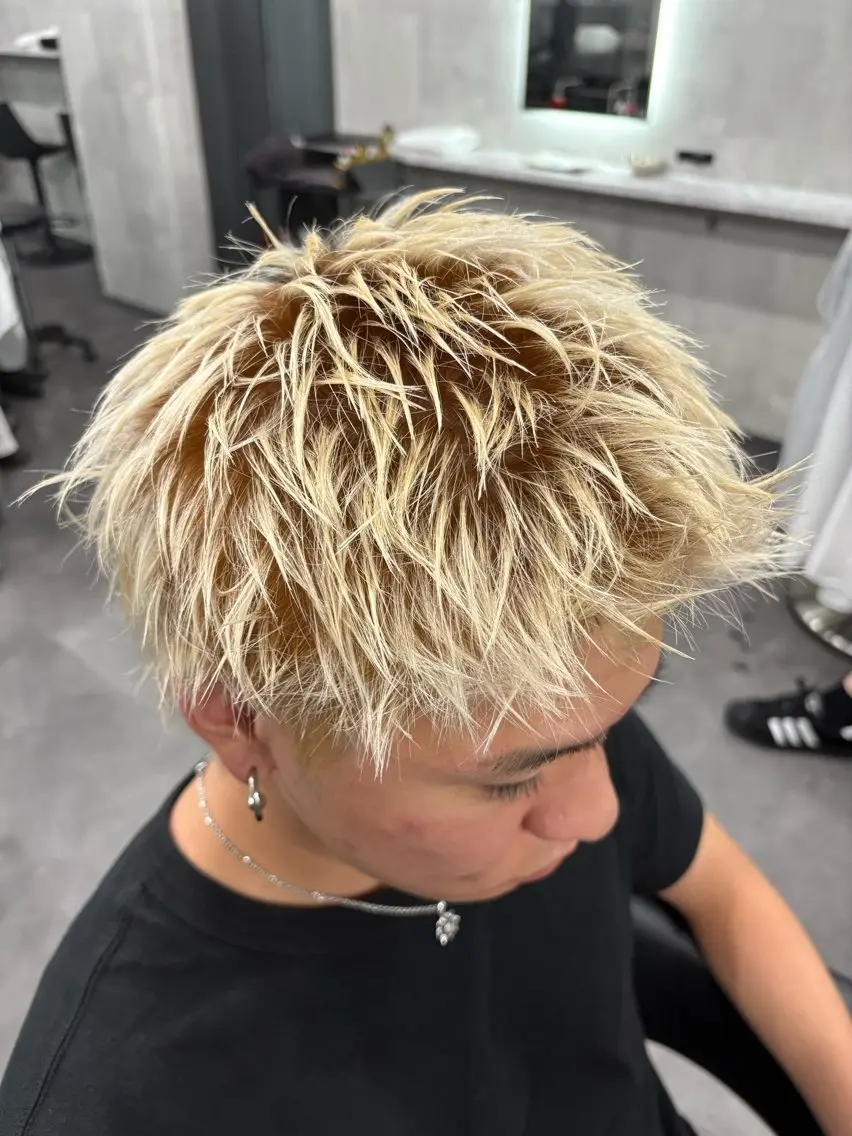 ショート ヘアカラー メンズカット ブリー チリタッチ、マッシュのヘアスタイル