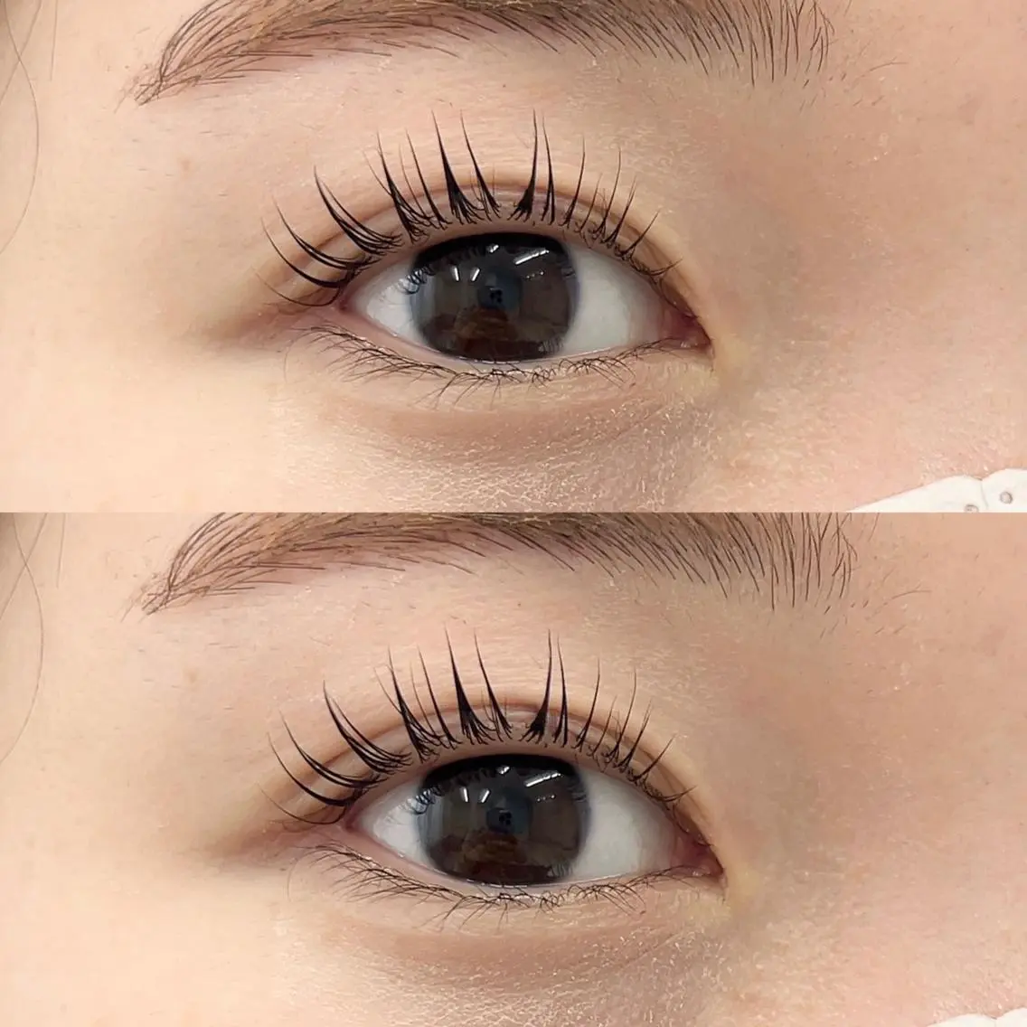 🍀今だけ限定価格🍀まつ毛パーマorパリジェンヌラッシュリフト👀+眉毛ワックスの写真