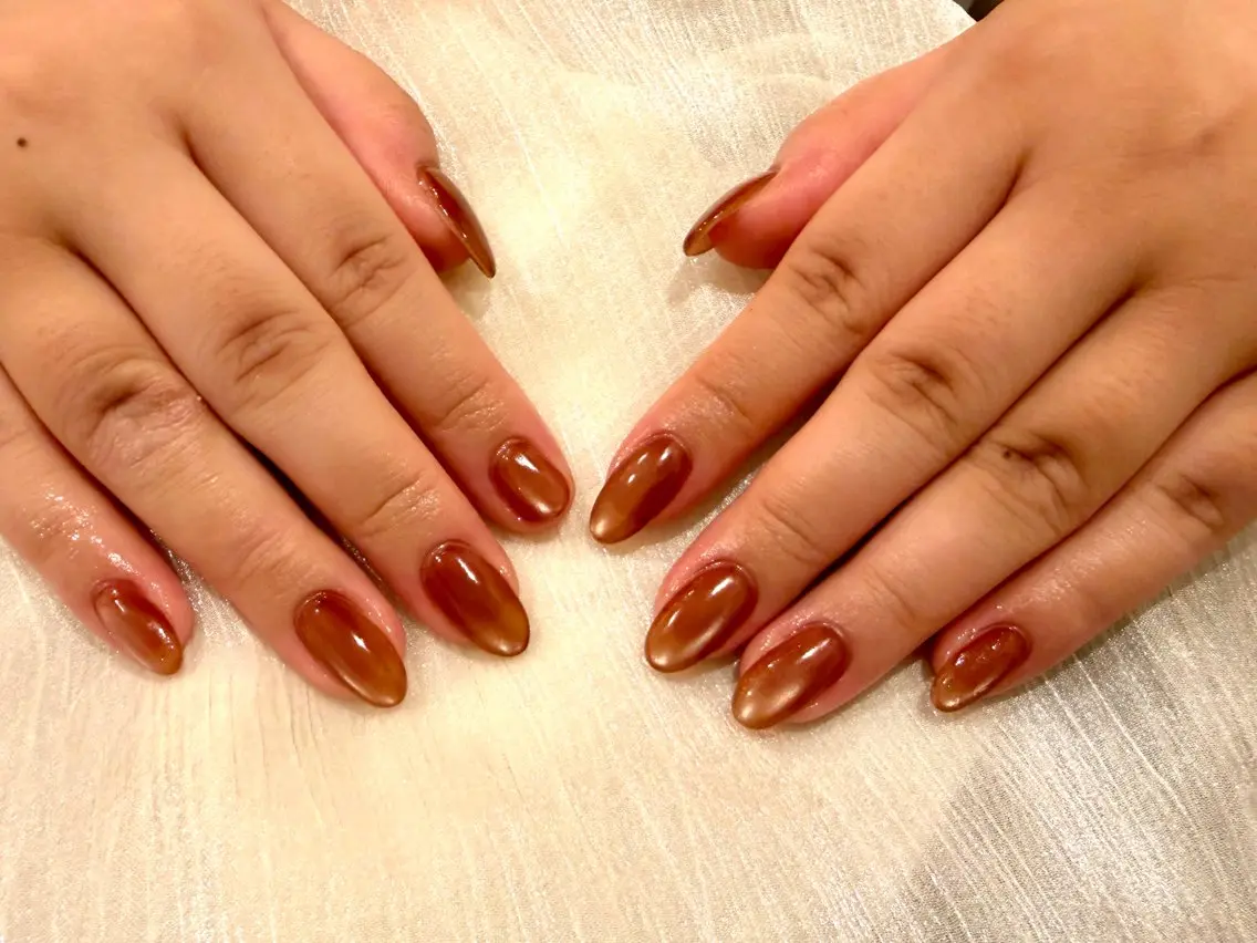 ネイル マグネットネイル 🤍大人シンプル🤍 船橋駅近 nailのネイルデザイン