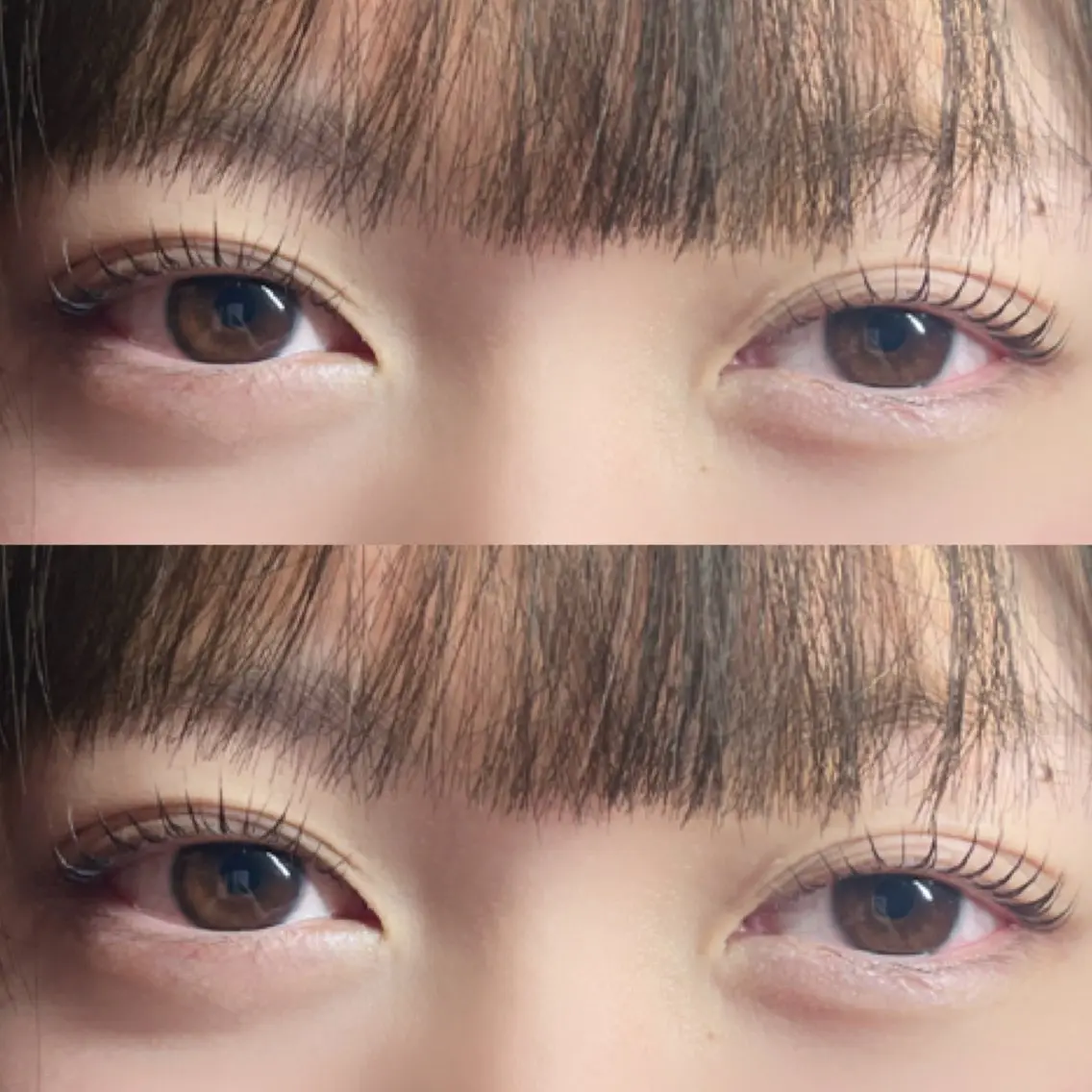 🌼当日限定クーポン🌼まつ毛パーマ(上ラッシュリフト)の写真