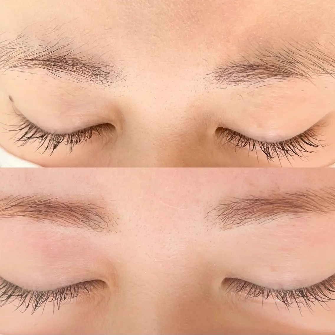 🌱新規限定🌱美眉アイブロウ (Wax脱毛、間引き)の写真