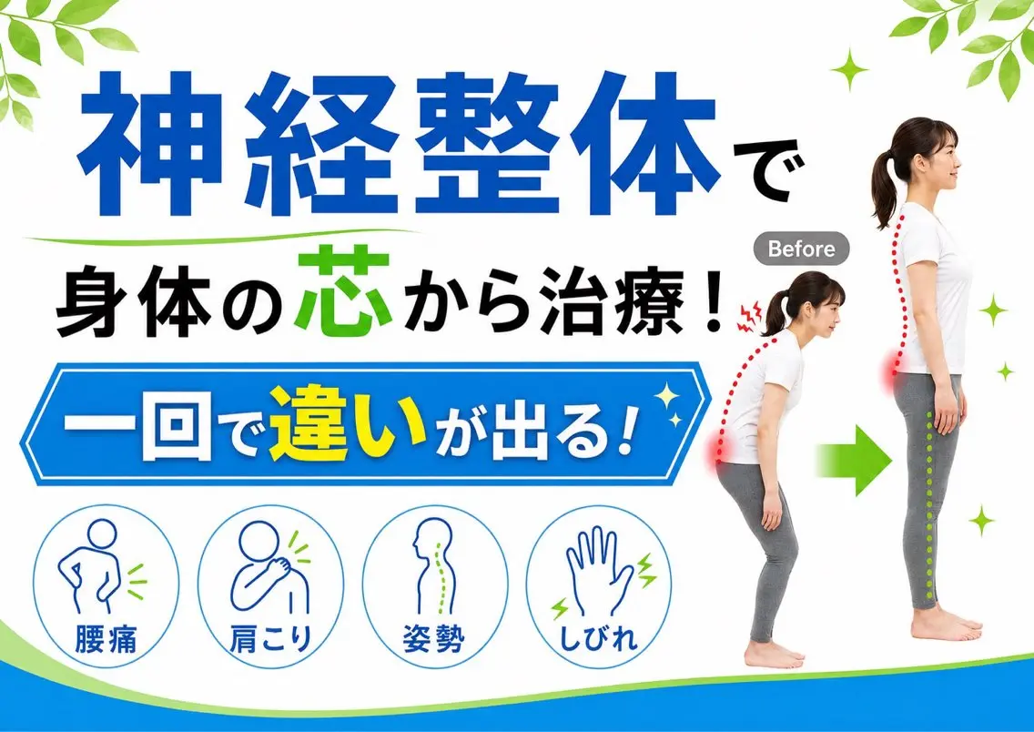 人気No. 1✨【整体ケア】《肩こり・腰・首・膝の不調.自律神経の不調や不眠など》根本からケア!一回で違いがでる整体💆の写真