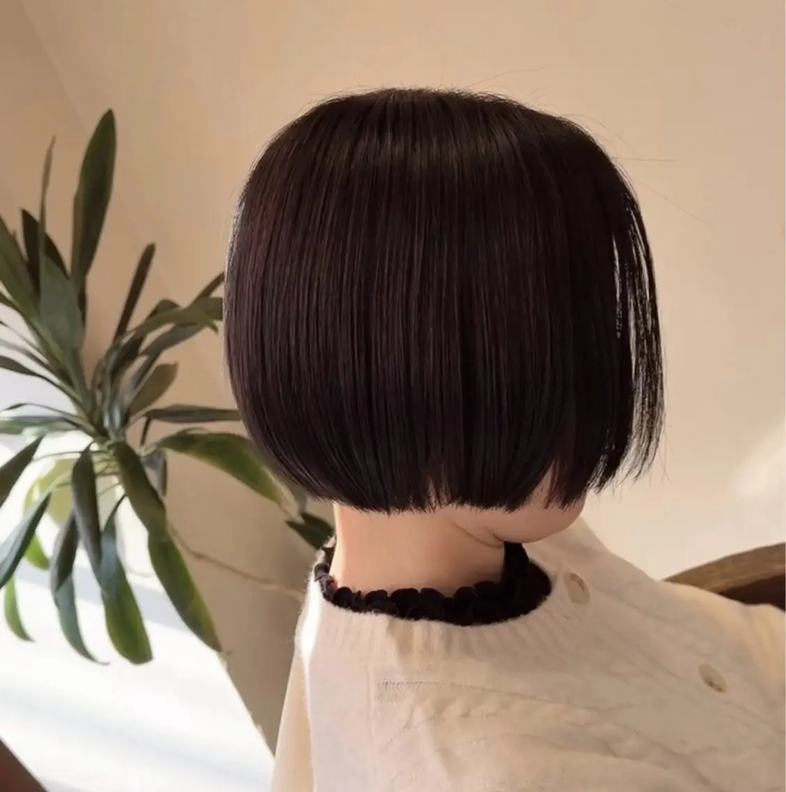 ショート 顔周りカット 髪質改善/艶カラーのヘアスタイル
