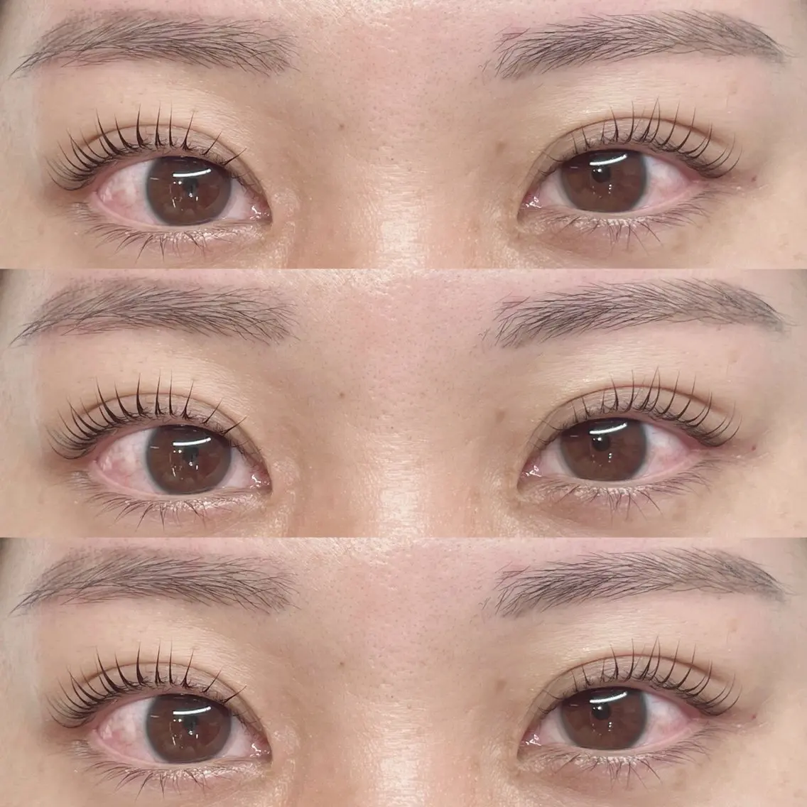 美眉WAX脱毛＋まつげパーマ（上）の写真