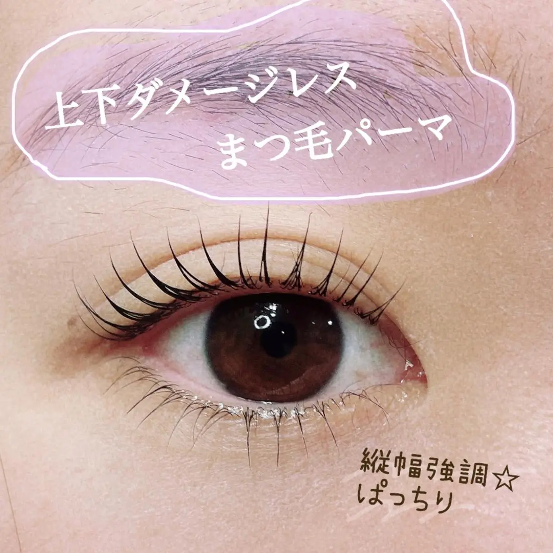 マツエク・マツパ パリジェンヌラッシュリフト 一重×まつ毛パーマ SEALA 高石の眉毛・アイブロウイメージ