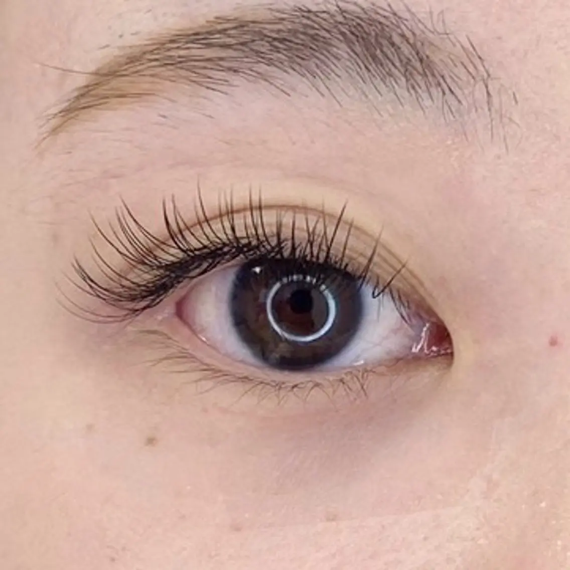 ご新規様フラットラッシュ100本※パーマ残っている方✕の写真