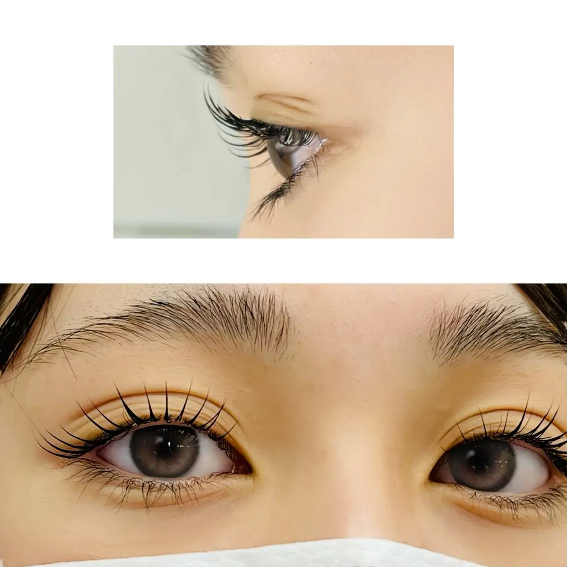 マツエク・マツパ Amour 🌸Ayakoの眉毛・アイブロウイメージ