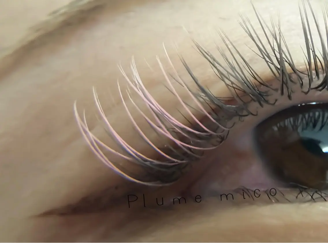 マツエク・マツパ マツエク Plume micoのマツエク・マツパデザイン