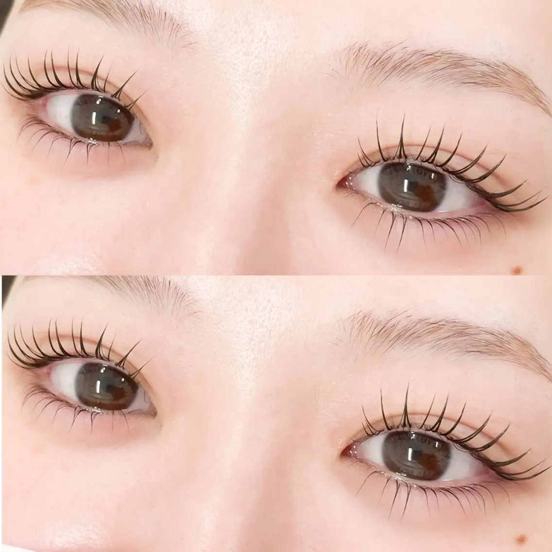 【✨人気No.1 ✨】ラッシュリフト(上のみ)束感コーティング付🫧の写真