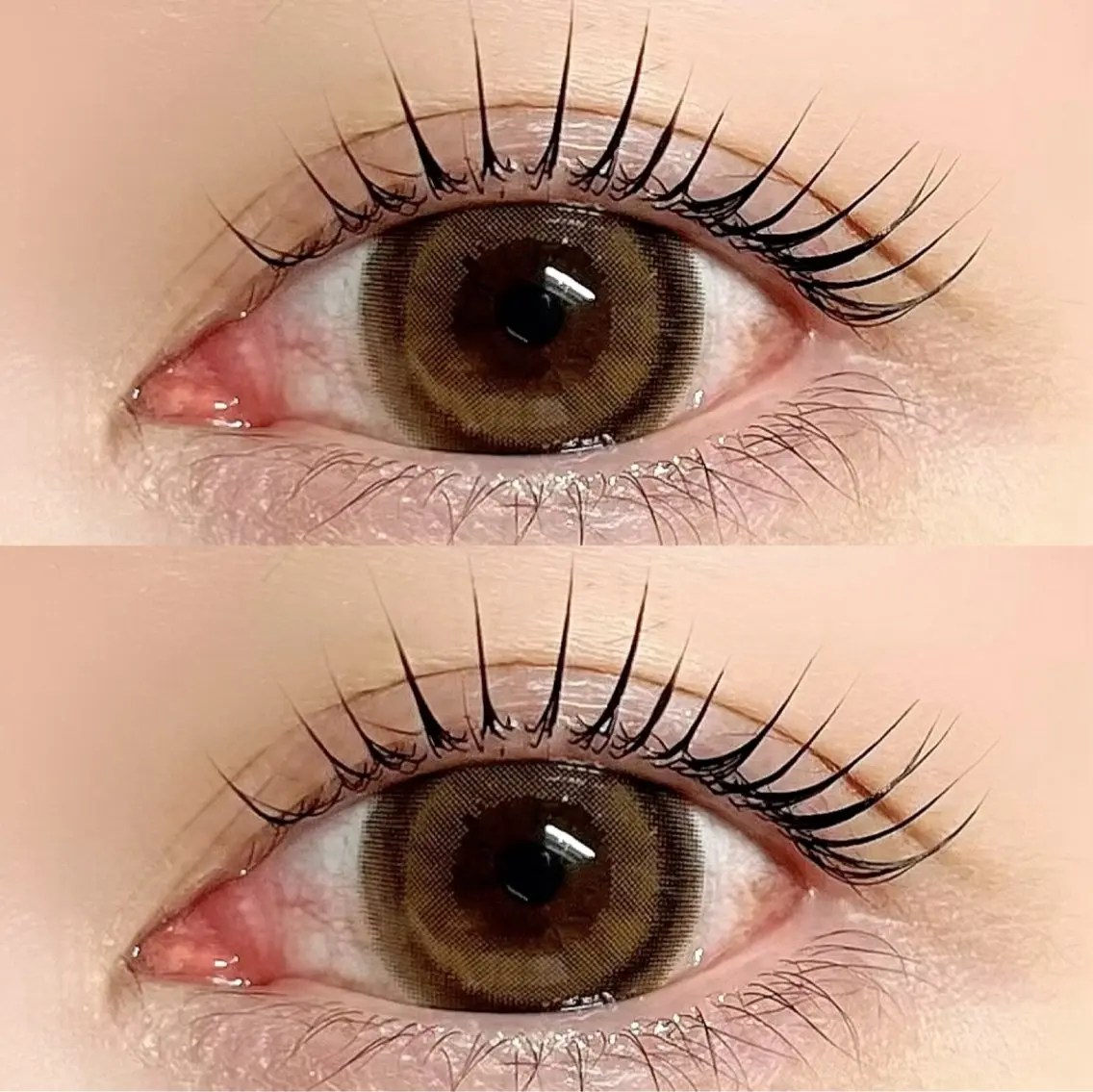 🌼ラッシュリフト🌼の写真