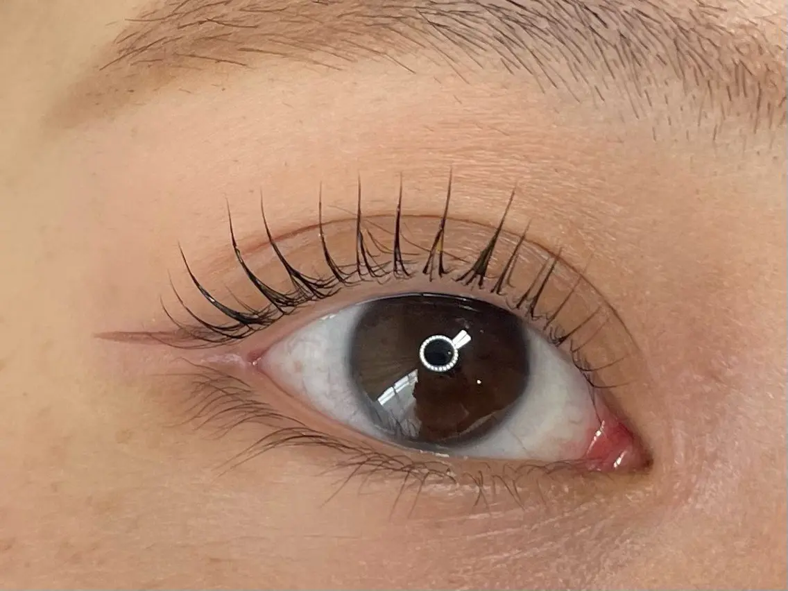 マツエク・マツパ マツパ eyelash CLAY RUMIの眉毛・アイブロウイメージ