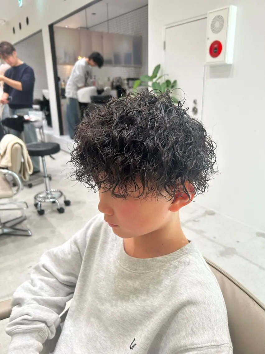 パーマ メンズ フェードカット メンズパーマ ツイストスパイラルパーマ スパイラルパーマ 🐲ツイスパ🐲 フェード/龍のヘアスタイル