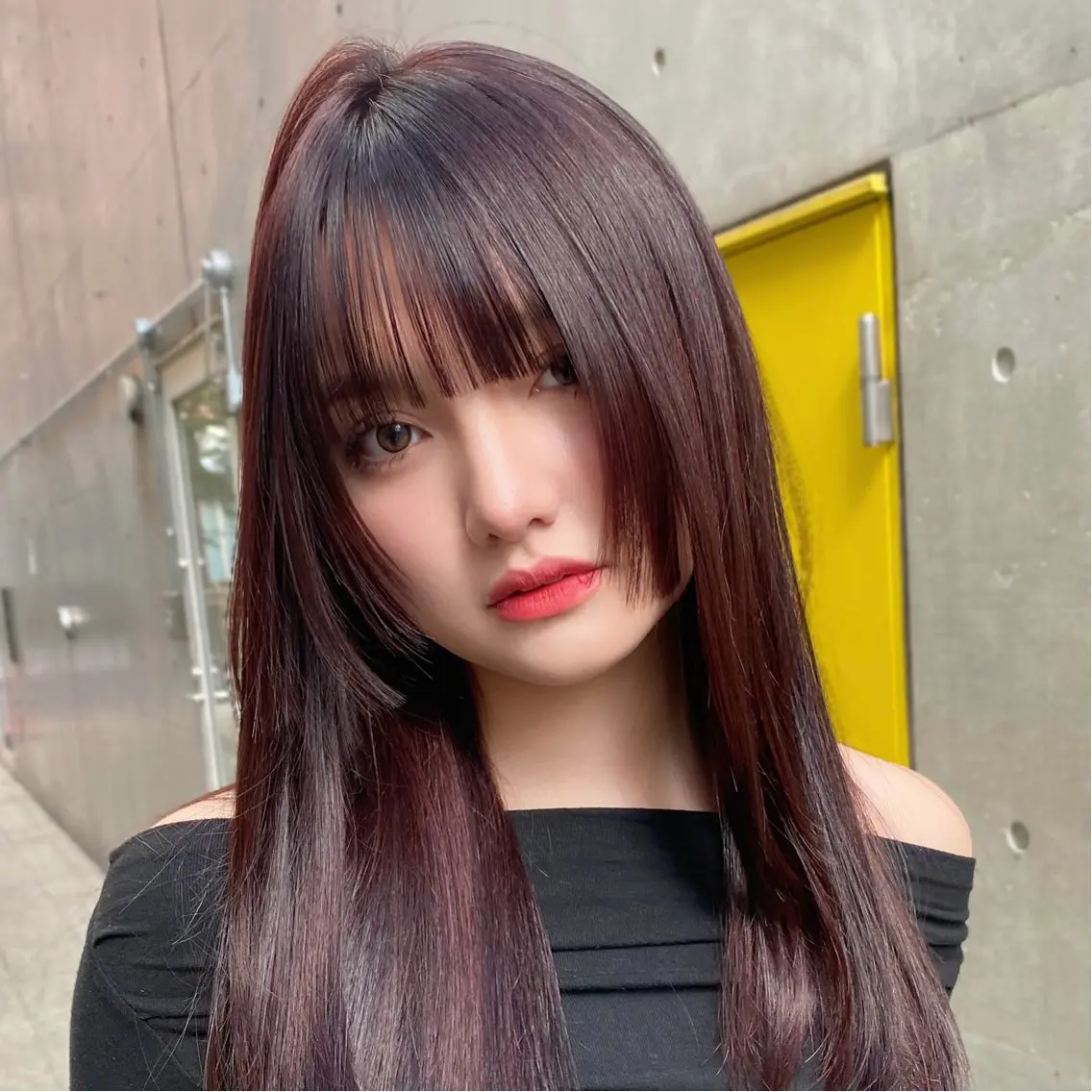 ロング カラー カシス レッドカラー 姫カット ハッシュカット/艶感 カラー/ユウキ✨のヘアスタイル