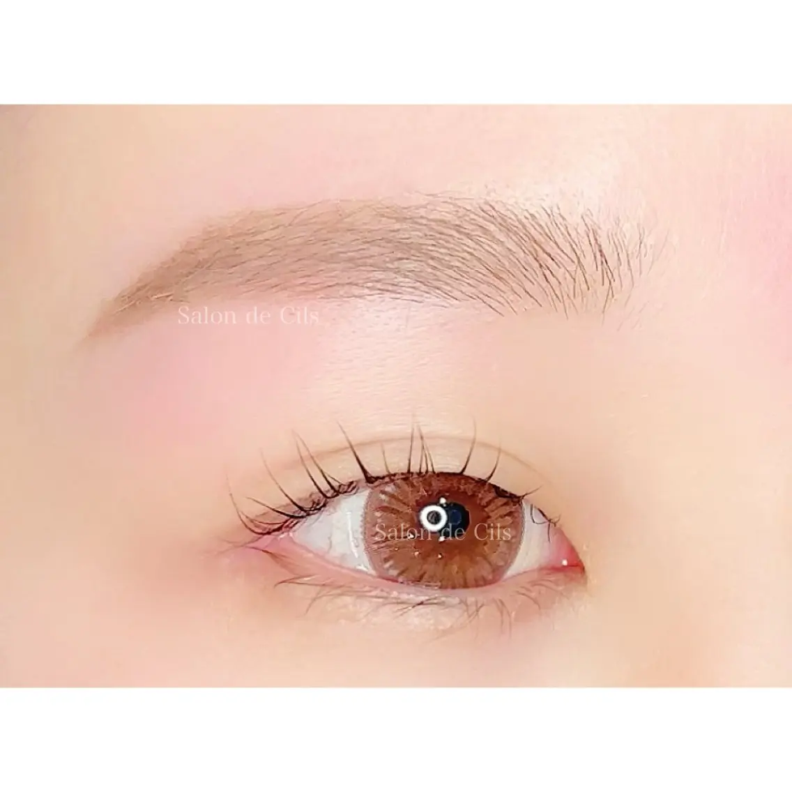 アイブロウ ワックス脱毛 眉カット その他(アイブロウ) Salon de Cilsのマツエク・マツパデザイン