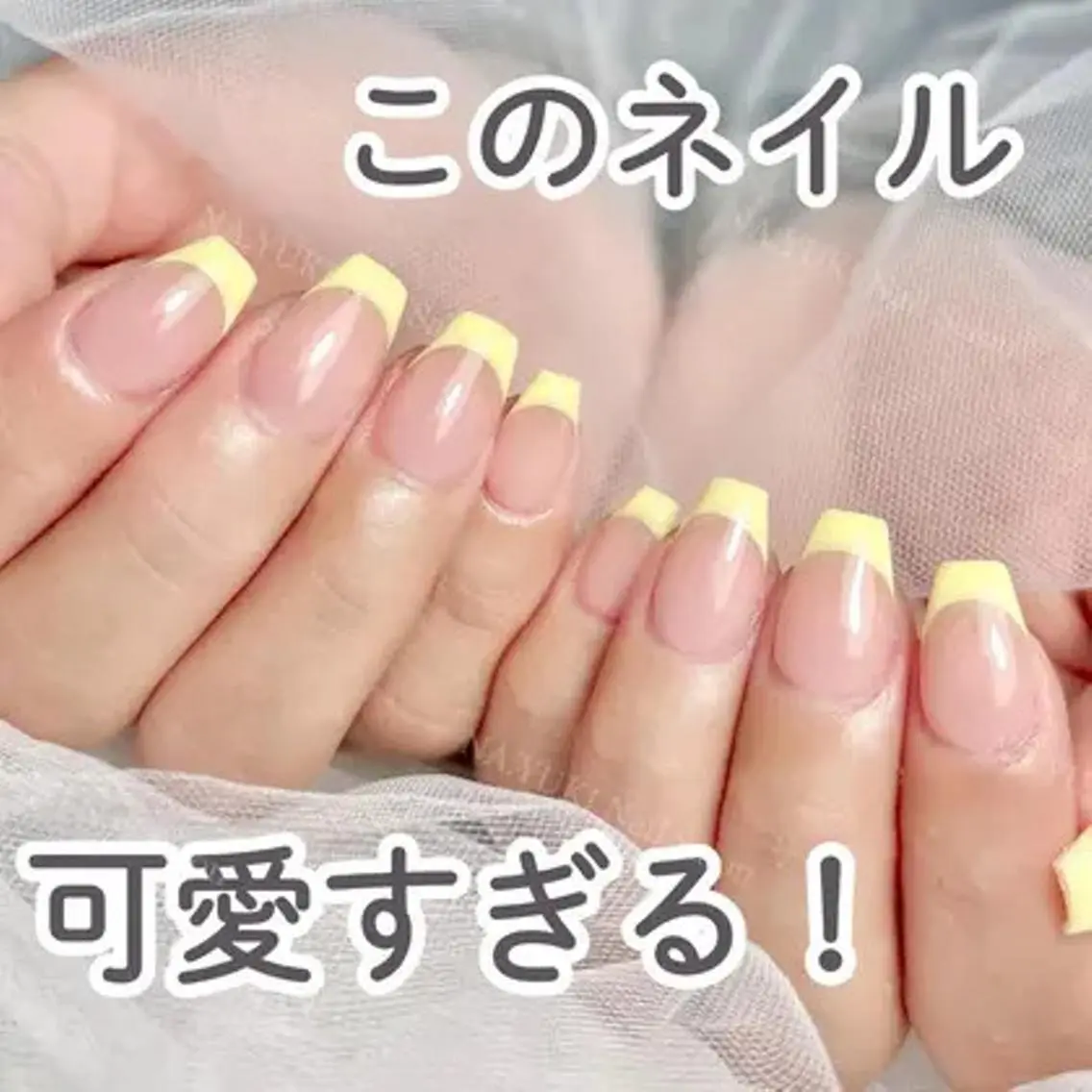 🦋カラーフレンチ/カラーグラデーション(色2個まで)5900【初回ジェルオフ無料ケア込み】の写真
