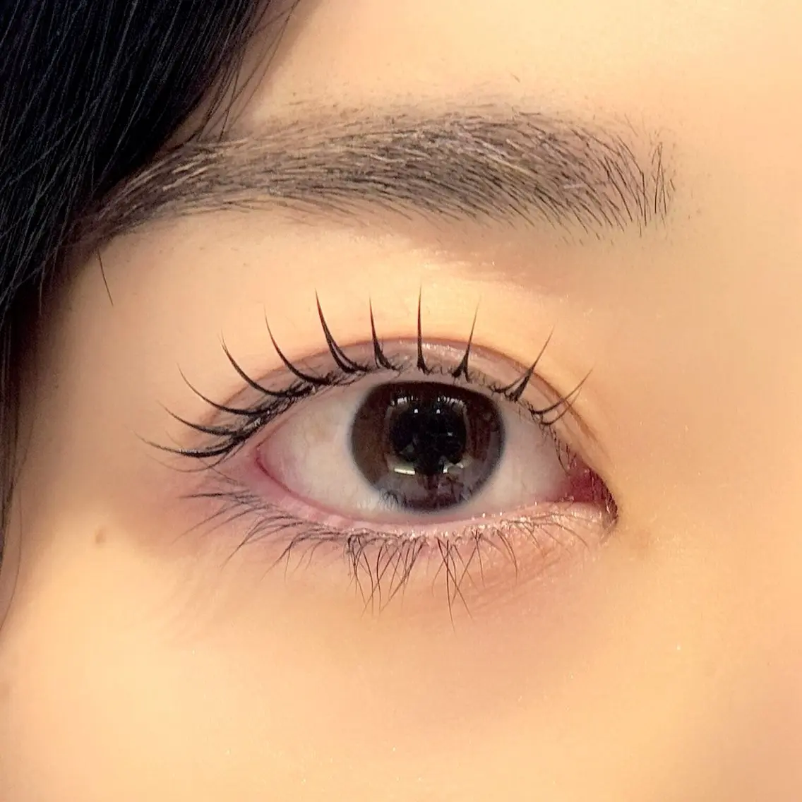 当日限定❗️まつ毛パーマ👀👀の写真