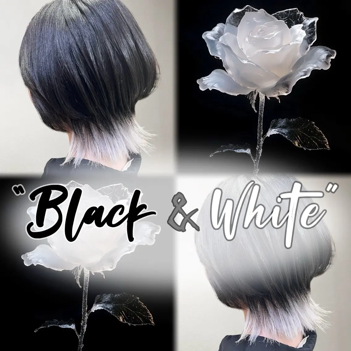 ショート カラー ブリーチ 透明感カラー ハイトーンカラー 韓国風ヘア レイヤーカット ヘアカラー レイヤー💫Wカラー 🍎森貝洋亮🍎のヘアスタイル
