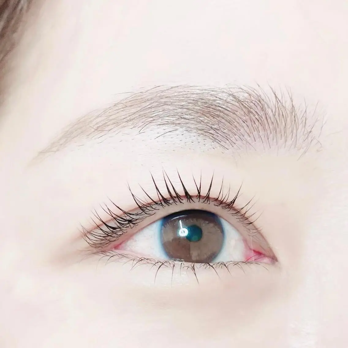 マツエク・マツパ eyelash f　香里園のマツエク・マツパデザイン