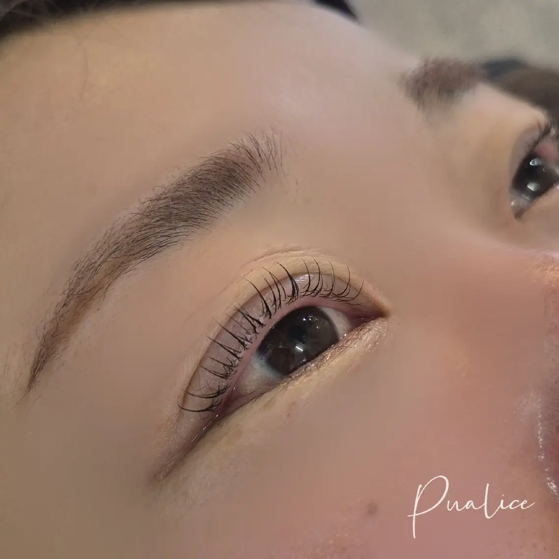 マツエク・マツパ Cカール Pualice  木本のマツエク・マツパデザイン
