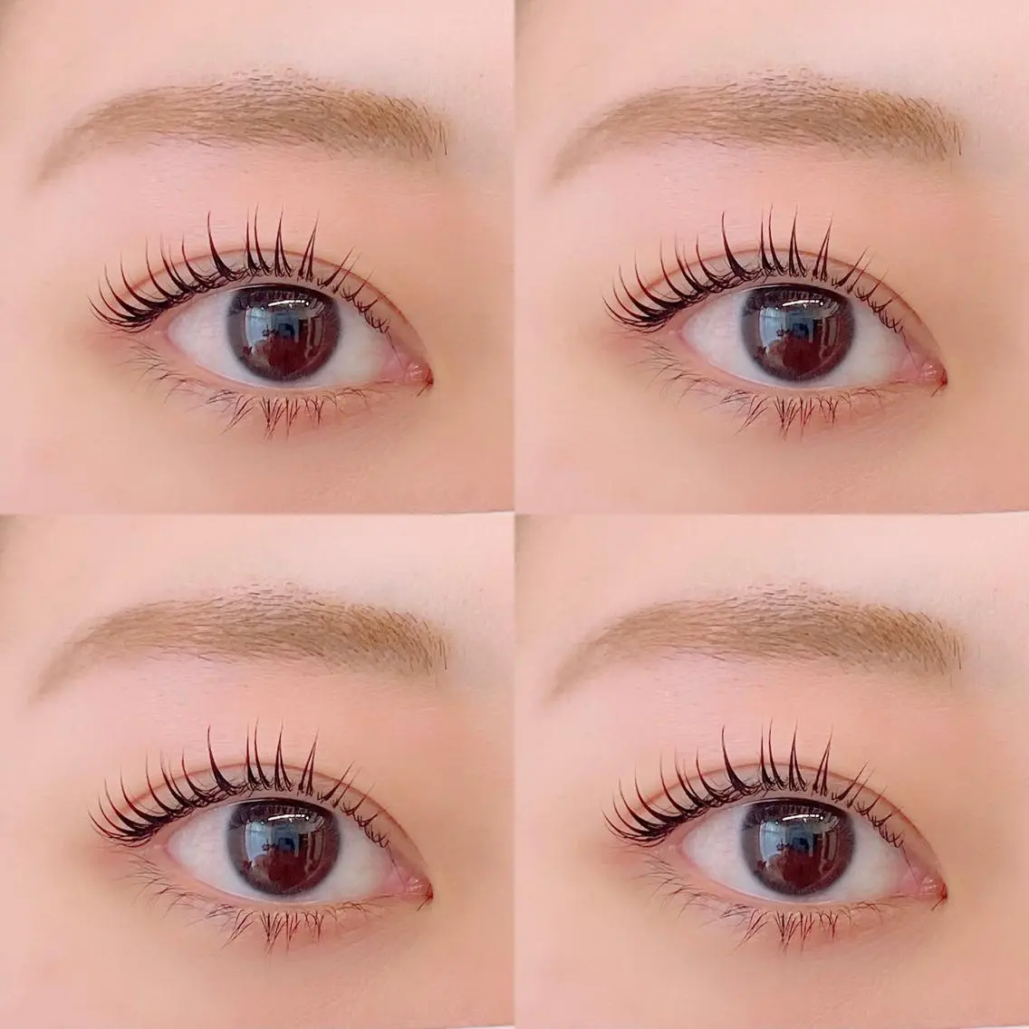 大人気★次世代まつ毛パーマ★の写真