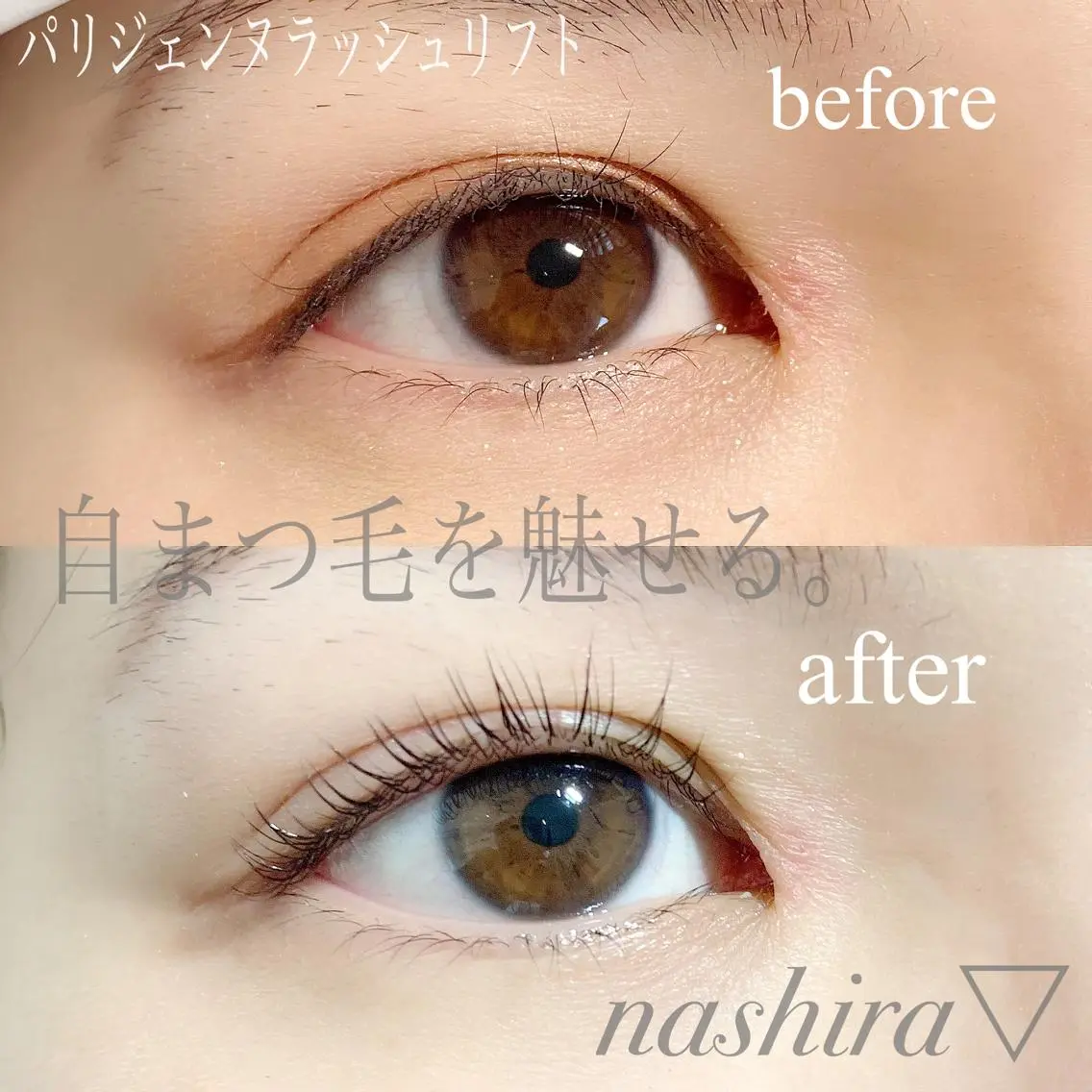 マツエク・マツパ パリジェンヌラッシュリフト nashira恵比寿 まつ毛&眉毛サロンのマツエク・マツパデザイン