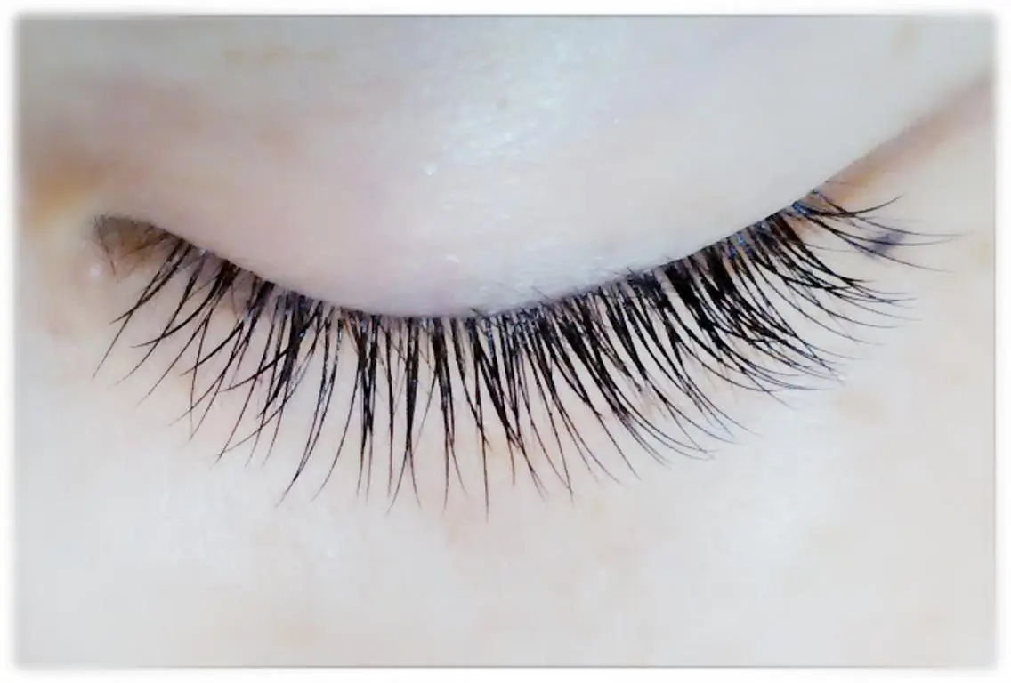 マツエク・マツパ fossette hair&eyeのマツエク・マツパデザイン