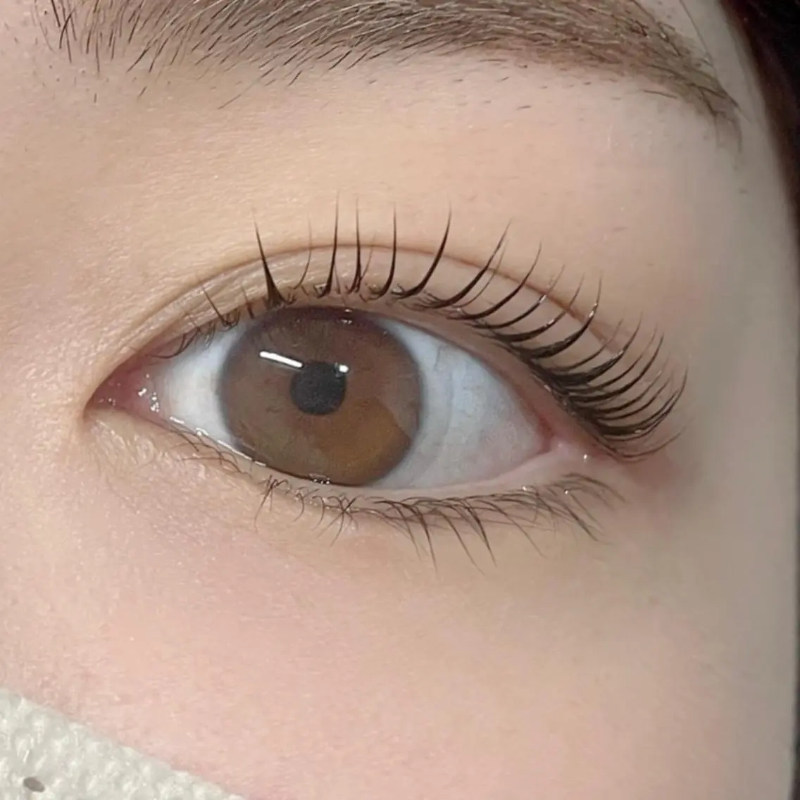マツエク・マツパ ケラチンラッシュリフト EYEMAJIC Pure★高見の眉毛・アイブロウイメージ