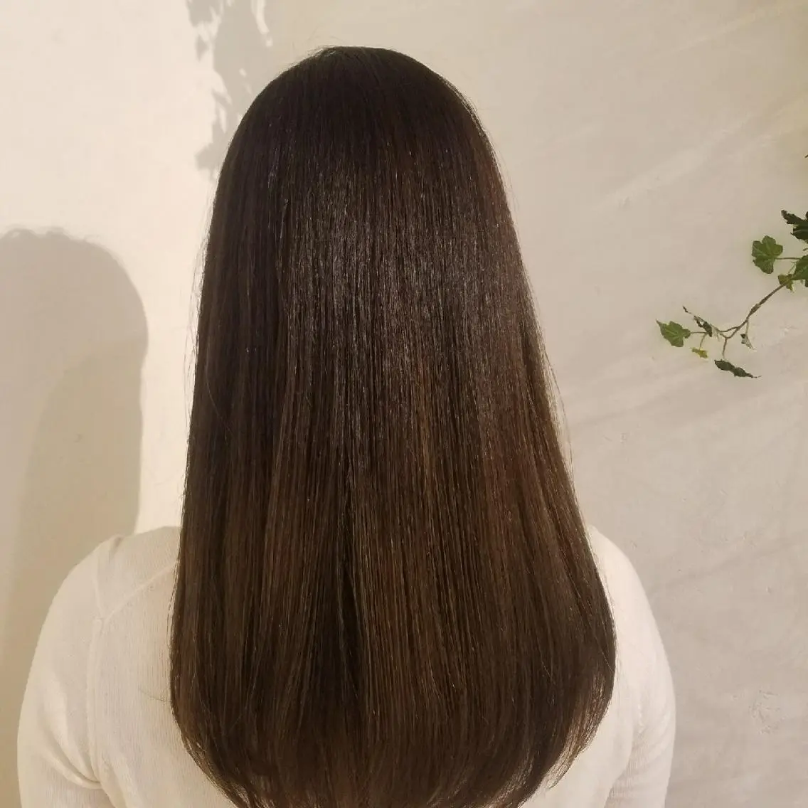 🖤カット＋縮毛矯正＋1stepトリートメントの写真