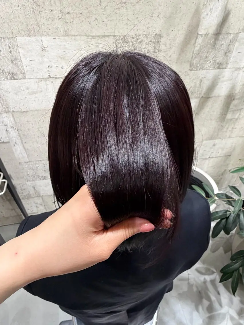 カラー カシス ヘアカラー The C 海老名 Sona🐈‍⬛のヘアスタイル