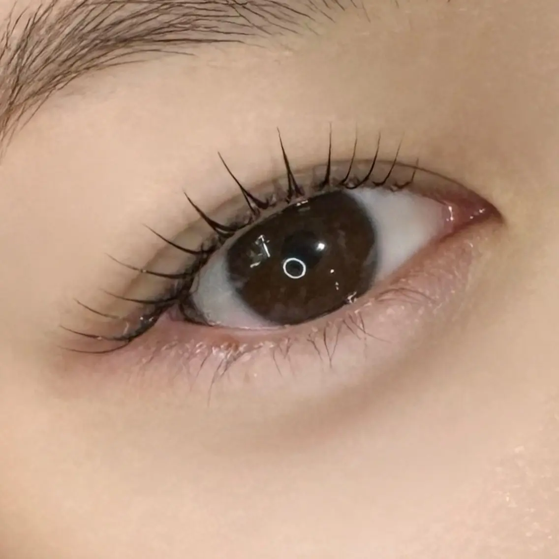 🖤まつ毛パーマ🖤美容液コーティング込み!!の写真