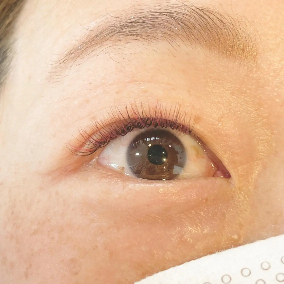 マツエク・マツパ hi. eyelashのマツエク・マツパデザイン
