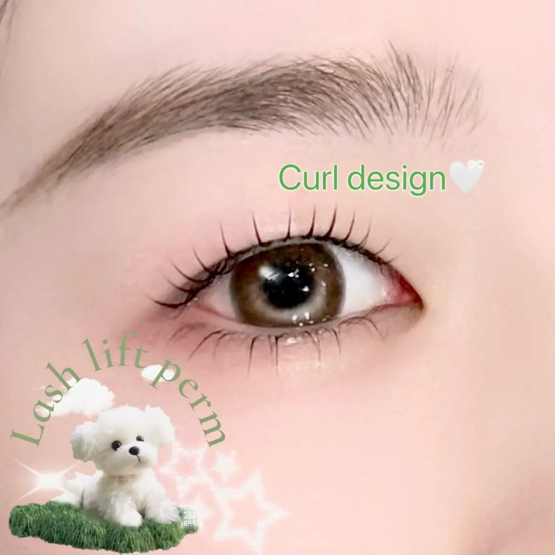 マツエク・マツパ マツパ 🐈⬛Mahiro /eyelash🌙のマツエク・マツパデザイン