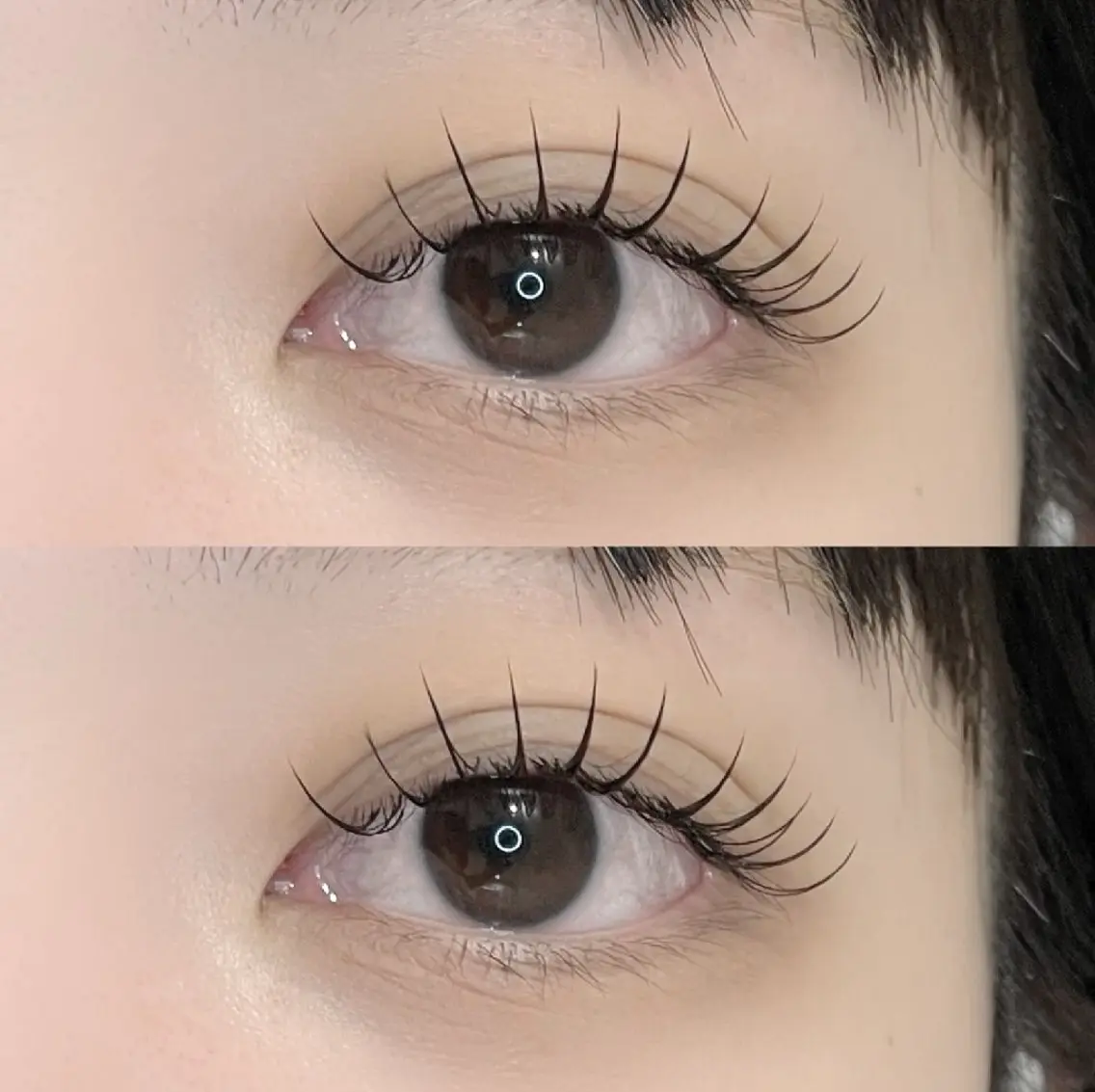 🎀【フラットラッシュ】🎀100本の写真