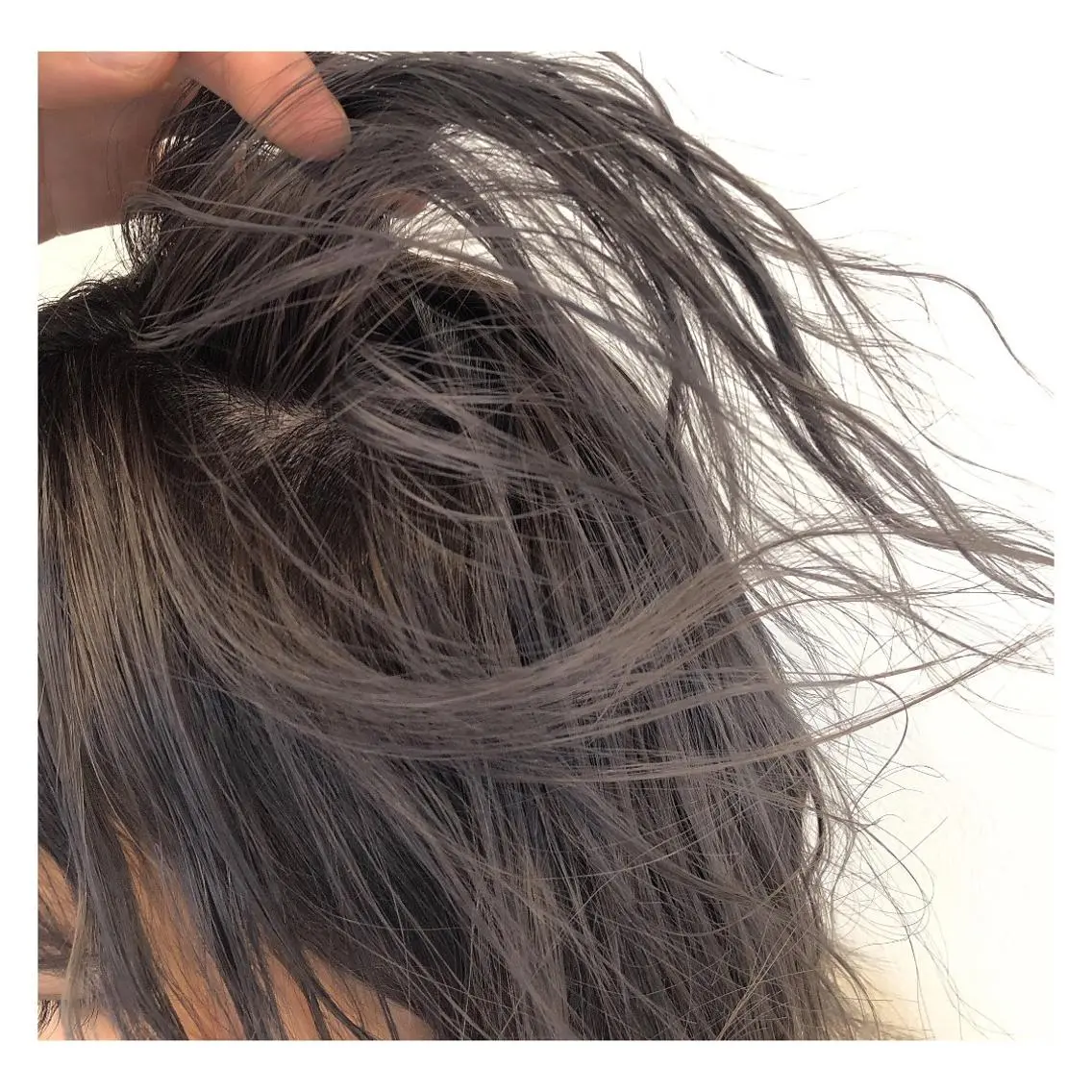 ショート 堀田 将輝のヘアスタイル