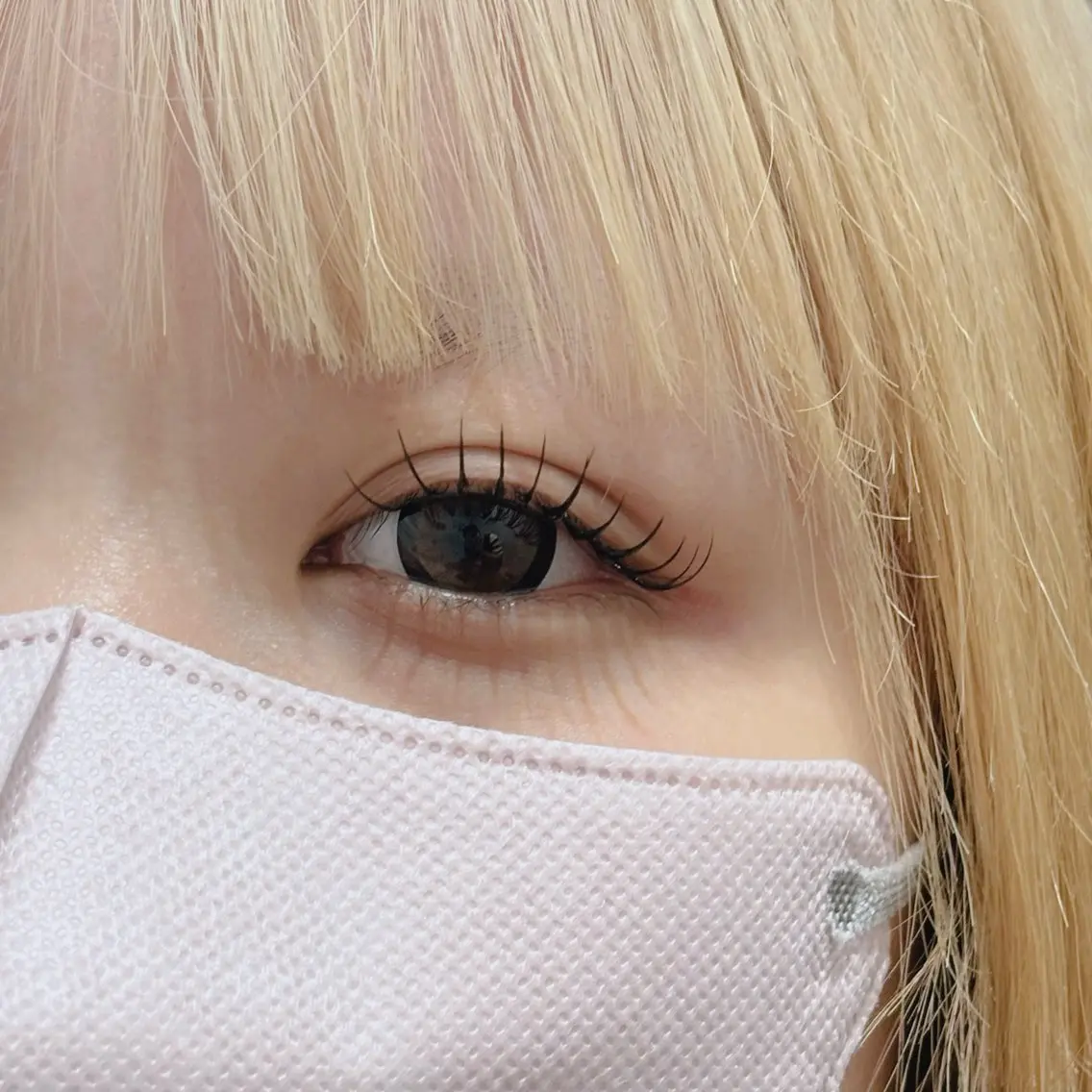 フラットラッシュ100本【オフ込み】✨の写真